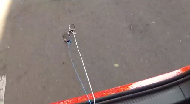 An iPhone 4S And Samsung Galaxy S III Go Bumper Riding, You Can Guess What Happens Next