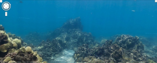 I Can Finally Relive My Underwater Moments At Hanaunama Bay Thanks To Google Maps