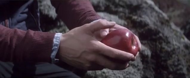 Mmmmm, apples.