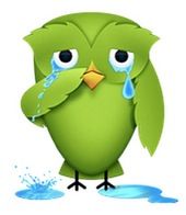 Screen Shot 2013 07 04 at 15.04.17 Duolingo-crying