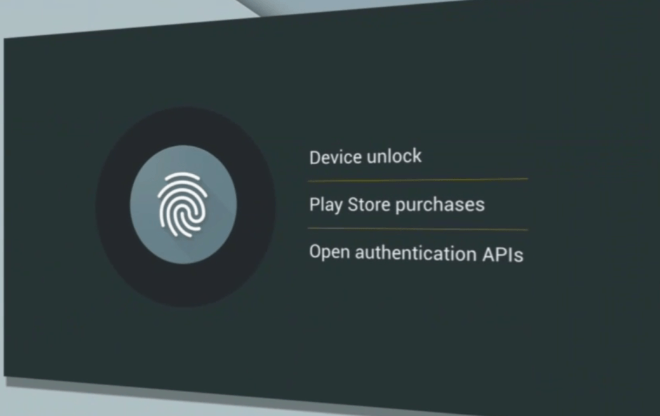 Nexus2cee_IMG_0008 940x593 Your fingerprint will do much more with Android M. Photo: Google